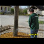 sam_0196.jpg