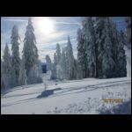 img_5564.jpg