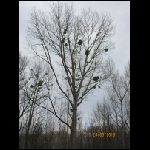 img_2064.jpg