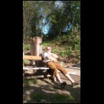 img-20180909-wa0016.jpg