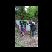 img-20221003-wa0006.jpg