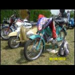 sam_3871.jpg
